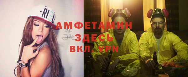 стаф Алзамай