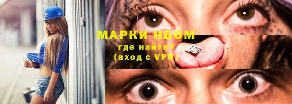 стаф Алзамай