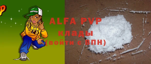 стаф Алзамай