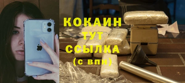 стаф Алзамай