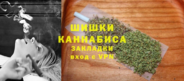тгк Абаза