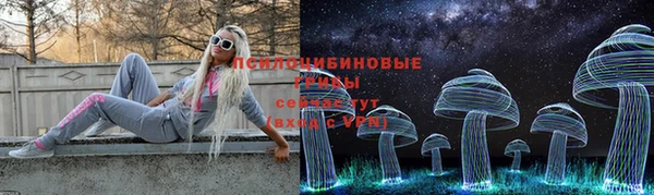 стаф Алзамай