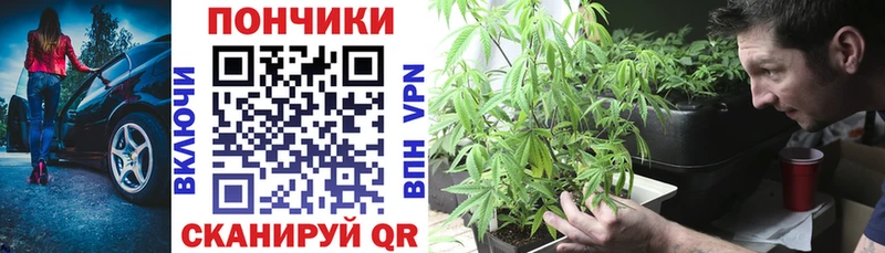 как найти закладки  Югорск  Каннабис тримм 